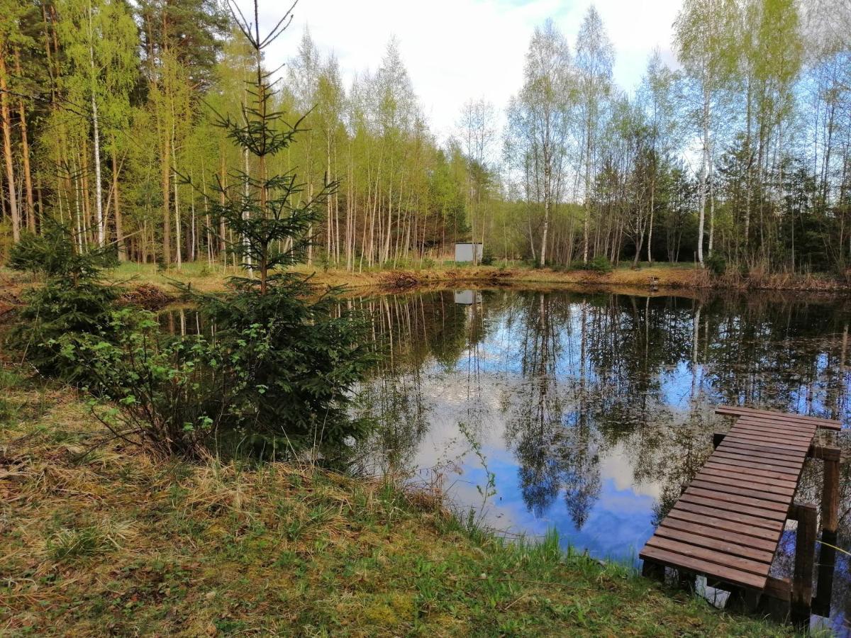 Ainja Puhkemaja Viljandi (Viljandimaa)