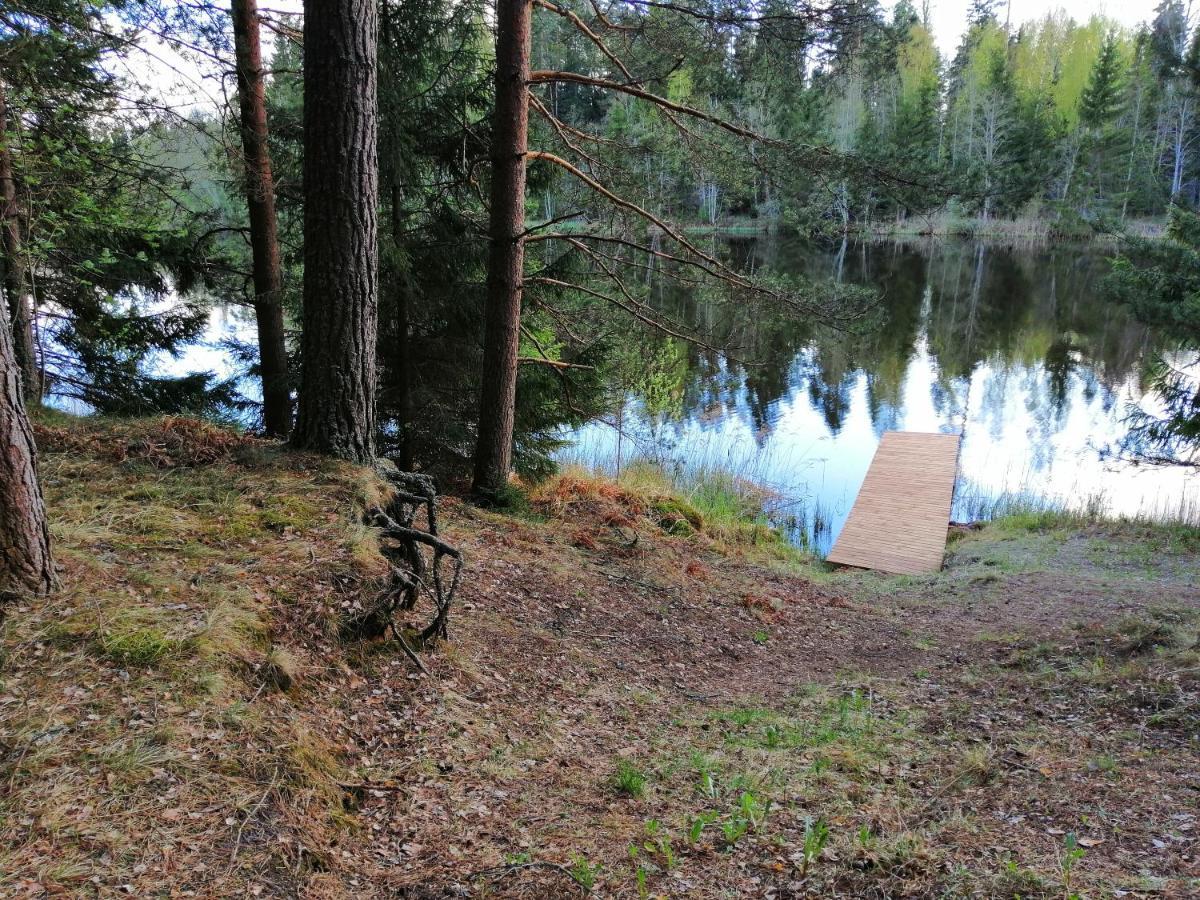 Ainja Puhkemaja Lodge