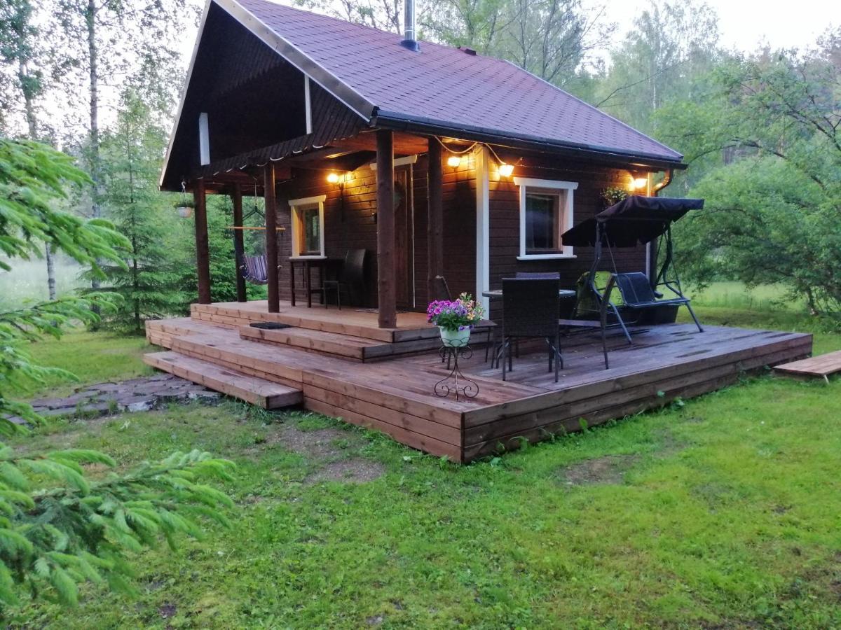 Ainja Puhkemaja Lodge