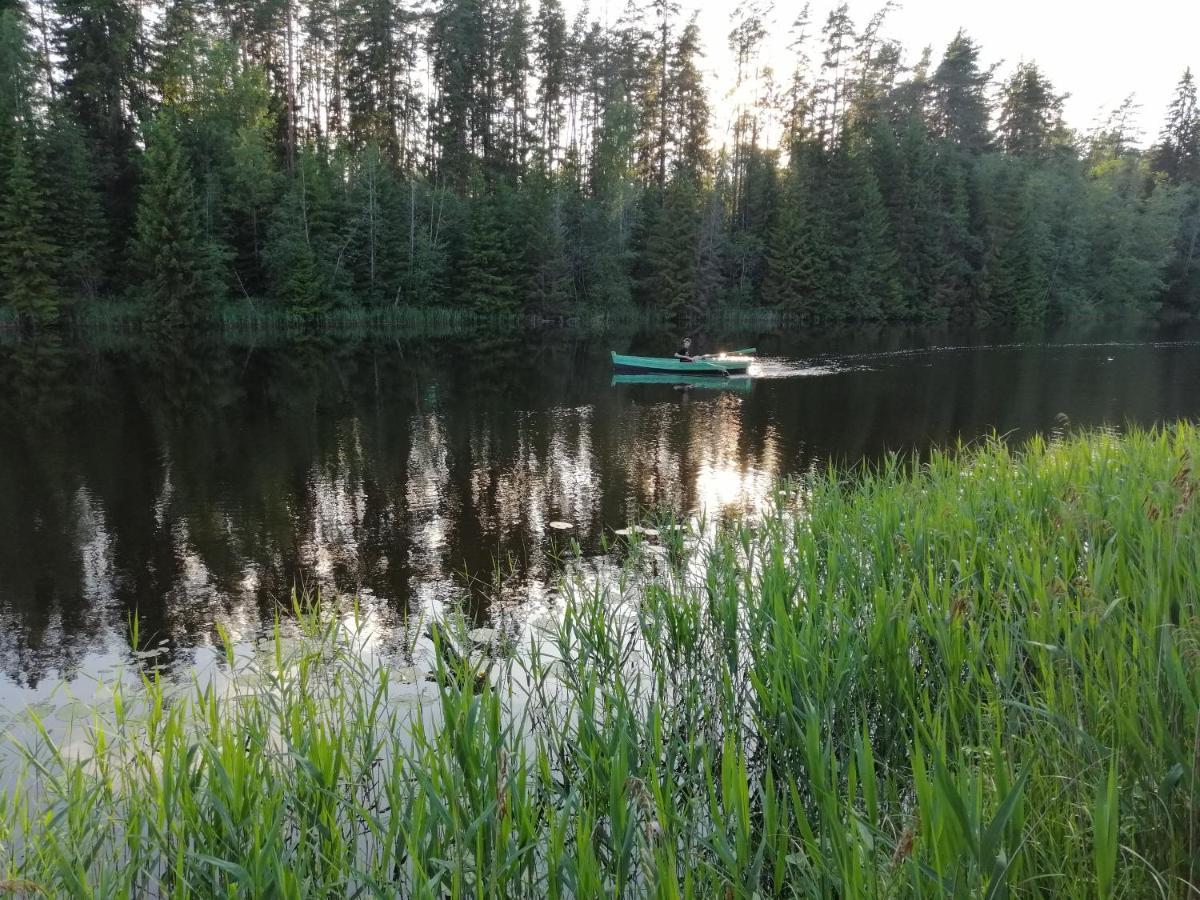 Ainja Puhkemaja Lodge
