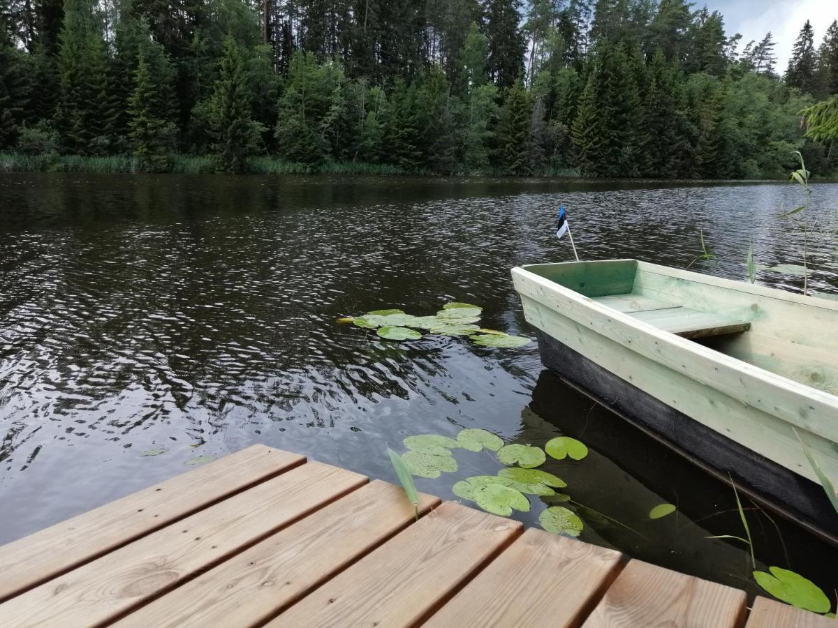 Ainja Puhkemaja Lodge Viljandi (Viljandimaa)
