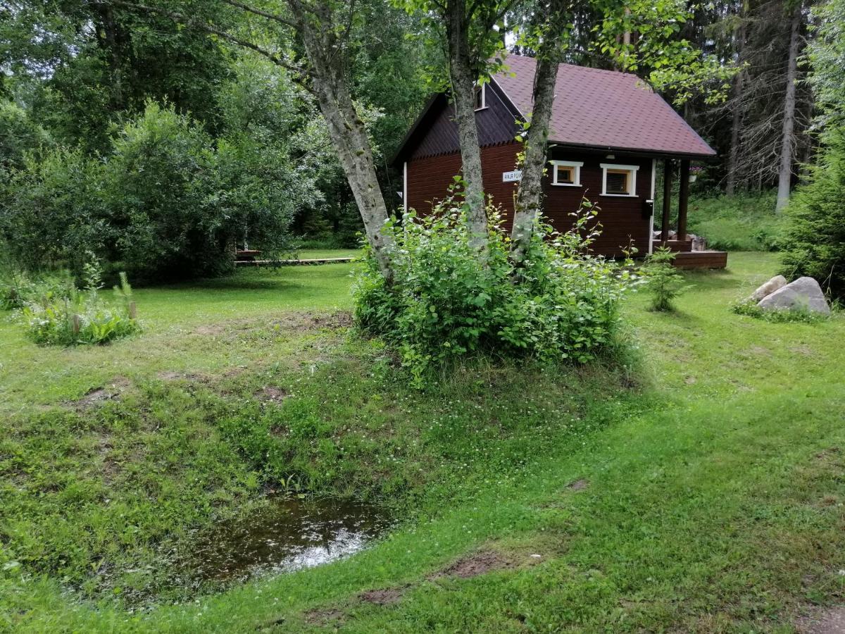 Ainja Puhkemaja Lodge