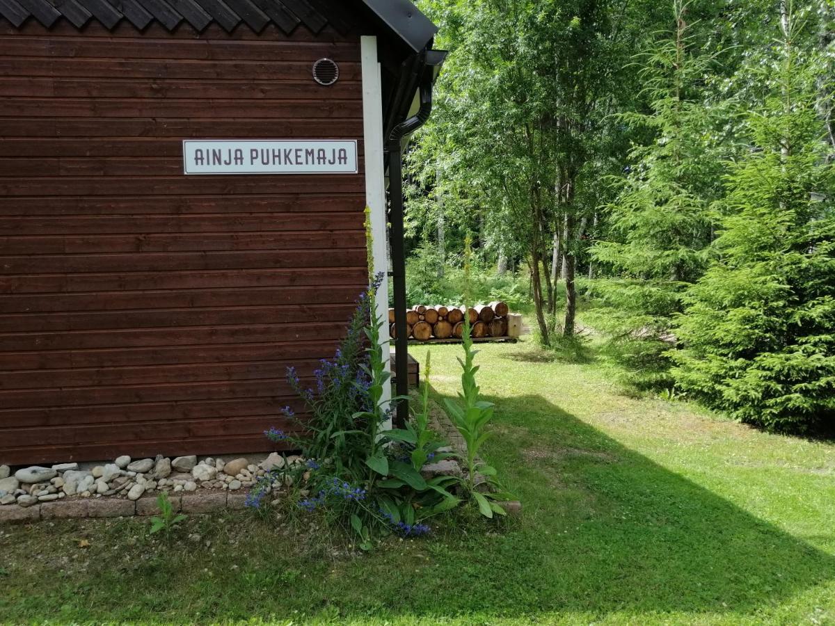 Ainja Puhkemaja Lodge *