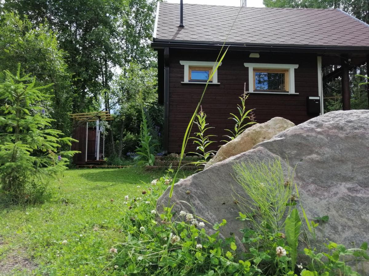 Ainja Puhkemaja Lodge *