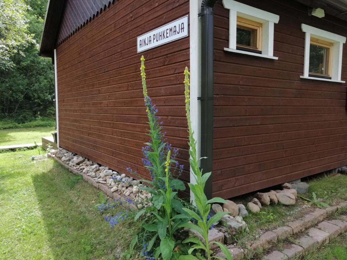 Ainja Puhkemaja Lodge