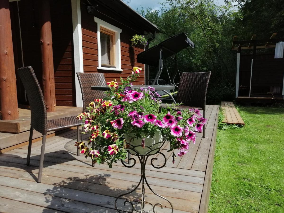 Lodge Ainja Puhkemaja