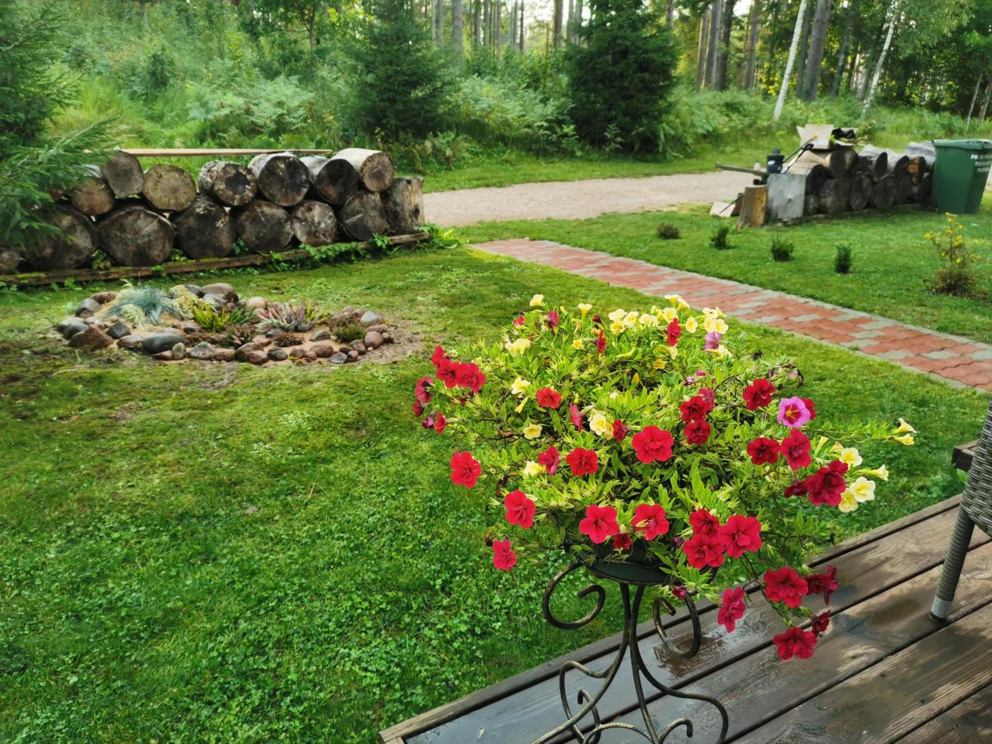 Lodge Ainja Puhkemaja Viljandi (Viljandimaa)