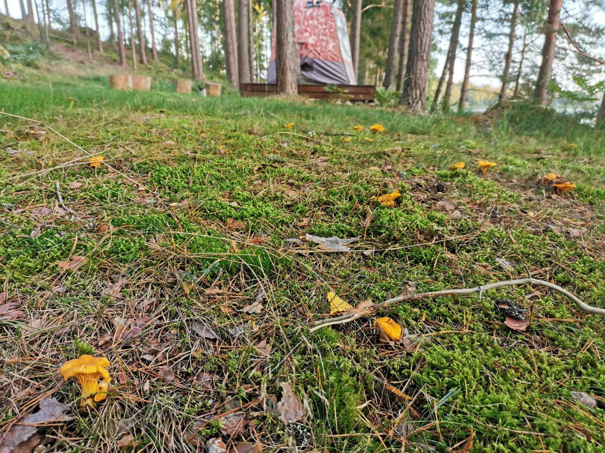 Ainja Puhkemaja * Viljandi (Viljandimaa)